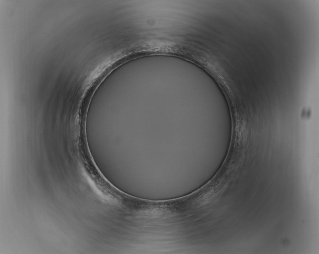 X0000111440674200907131306