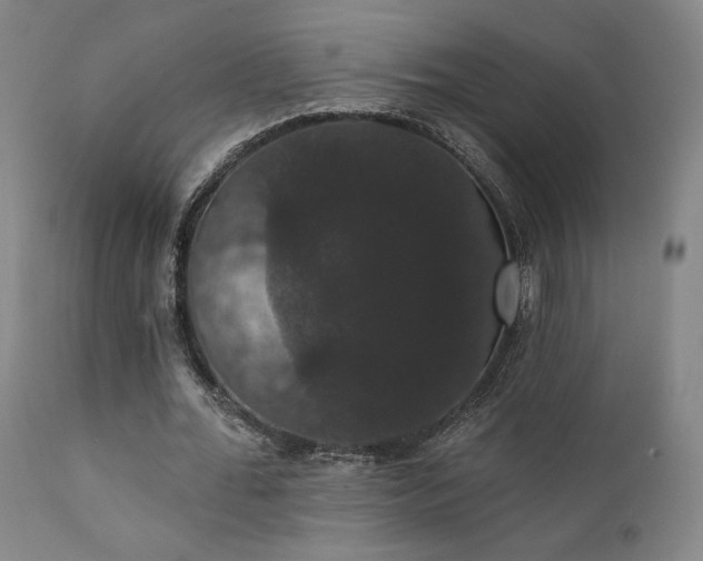 X0000111440676200907131306