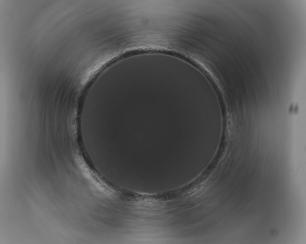 X0000111440677200907131306