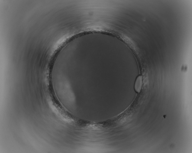 X0000111440680200907131306