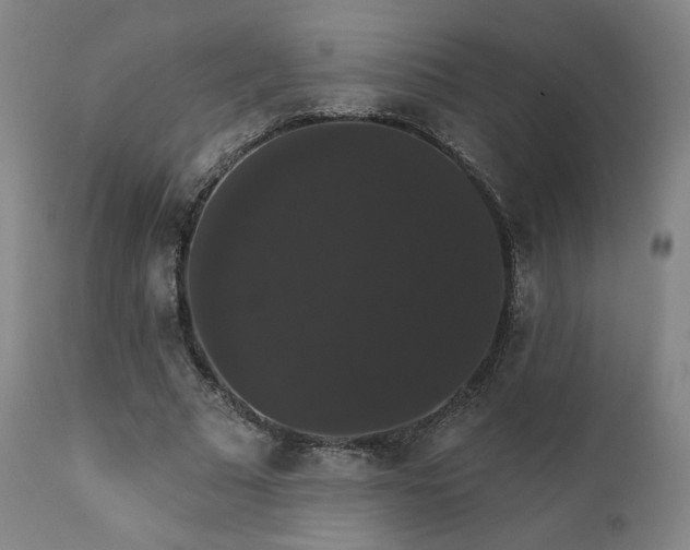 X0000111440681200907131306