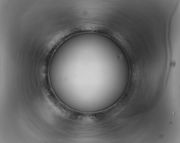 X0000111440683200907131306