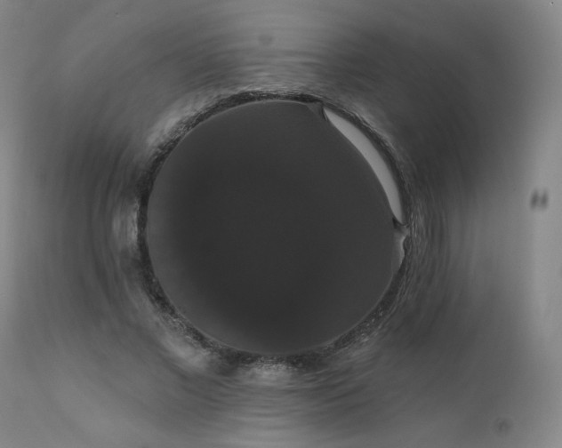 X0000111440685200907131306