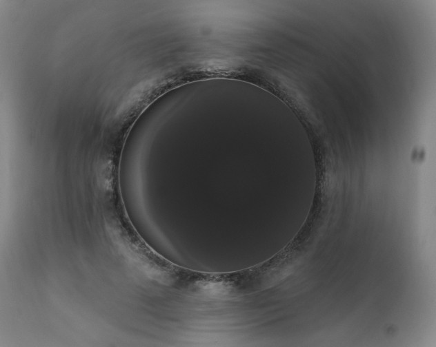 X0000111440689200907131306