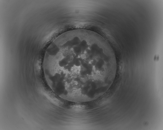 X0000111440691200907131306