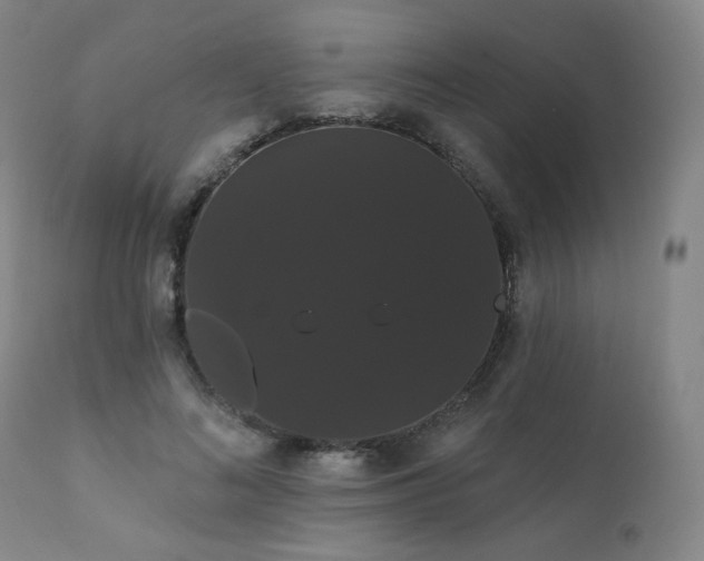 X0000111440692200907131306