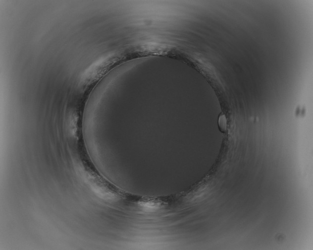 X0000111440693200907131306