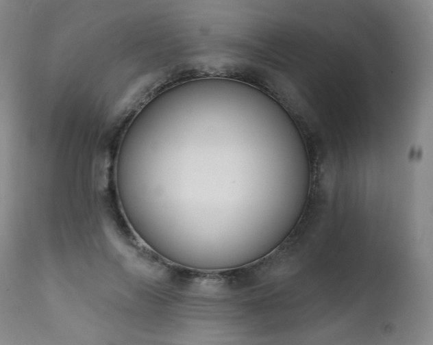 X0000111440694200907131306