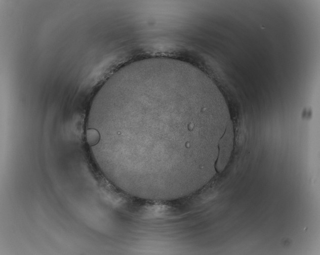 X0000111440695200907131306