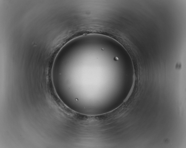 X0000111440696200907131306
