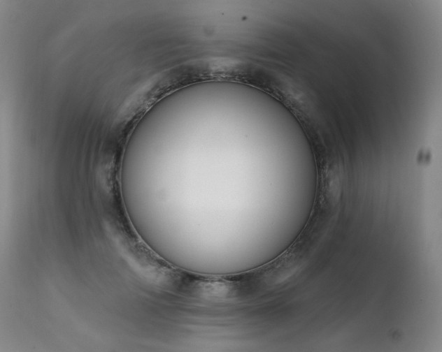 X0000111440698200907131306