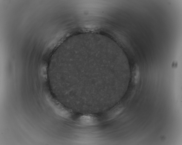 X0000111440699200907131306