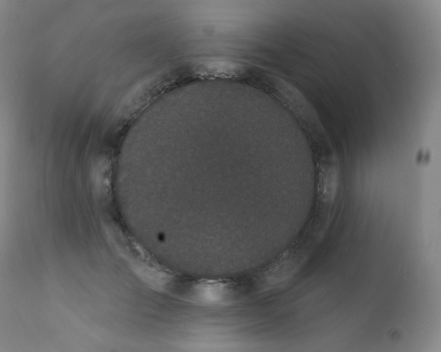X0000111440701200907131306