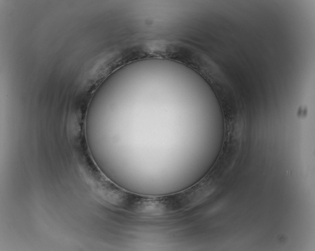 X0000111440702200907131306