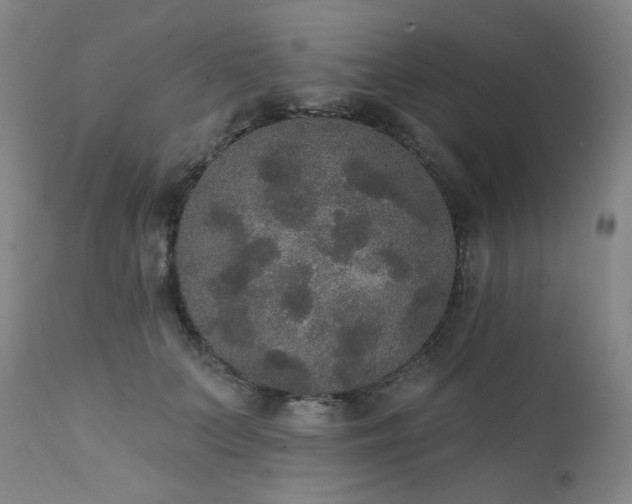 X0000111440703200907131306