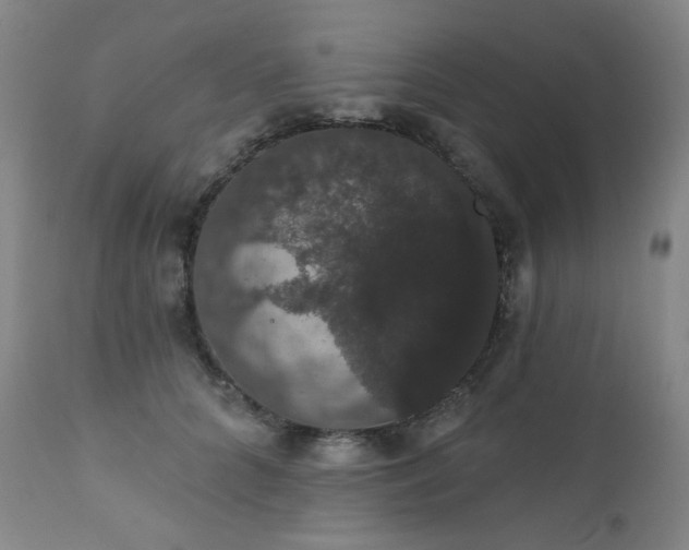 X0000111440704200907131306