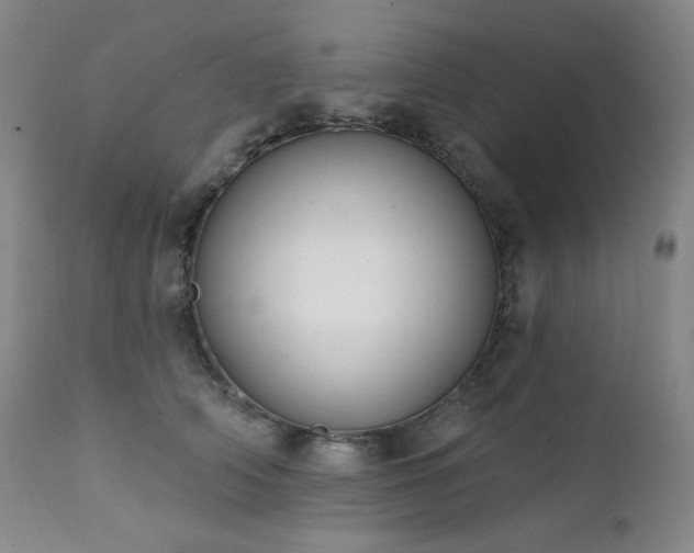 X0000111440706200907131306