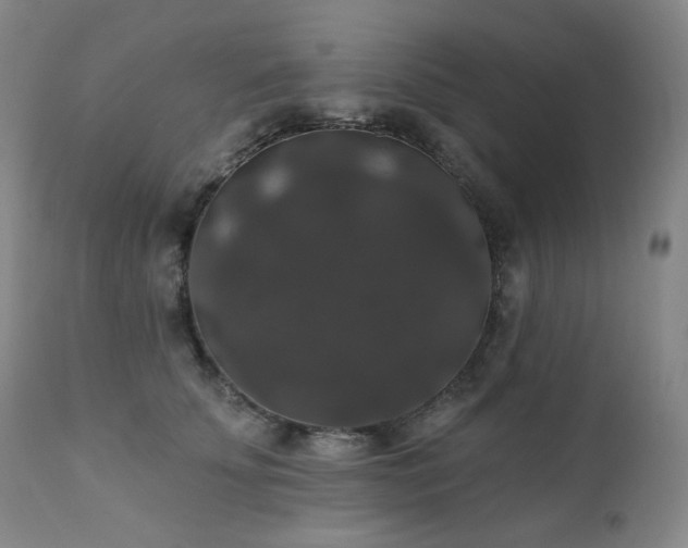 X0000111440707200907131305