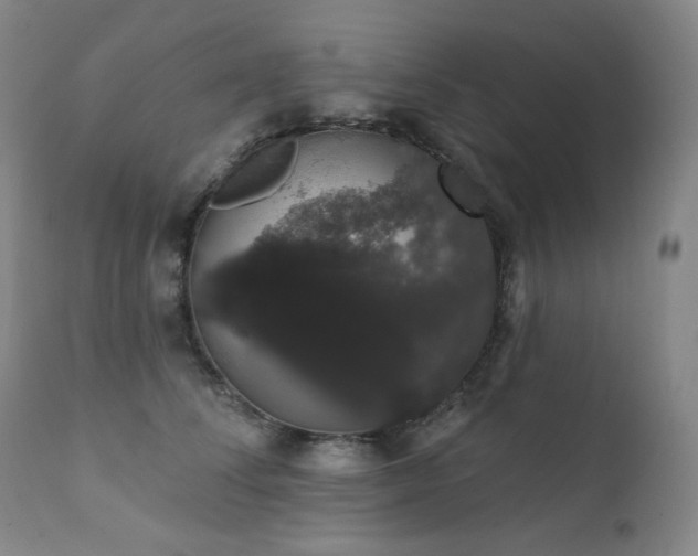 X0000111440708200907131305