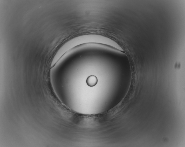 X0000111440709200907131305