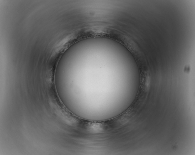 X0000111440710200907131305