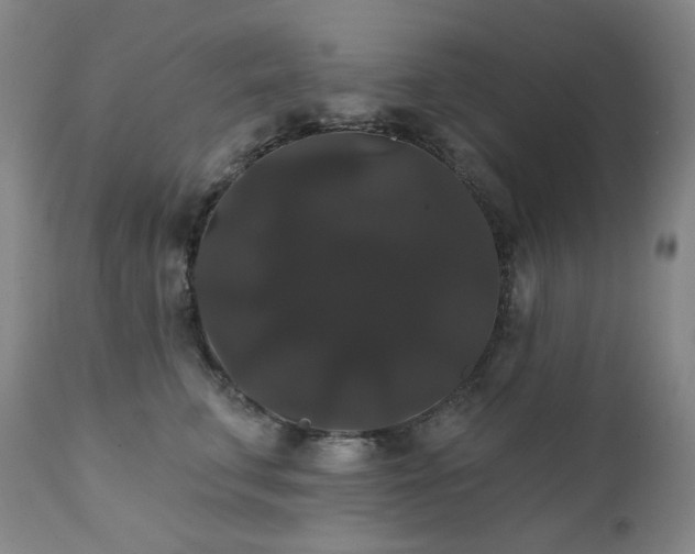 X0000111440711200907131305