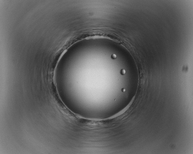 X0000111440712200907131305