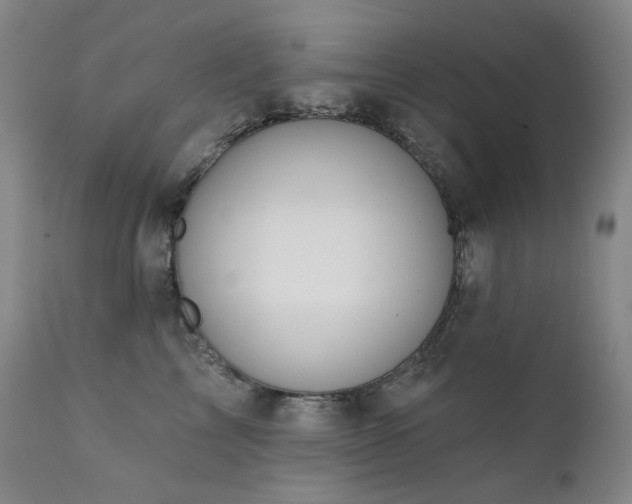 X0000111440713200907131305