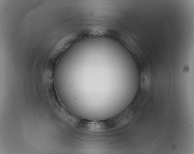 X0000111440714200907131305
