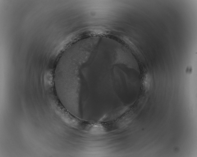 X0000111440715200907131305