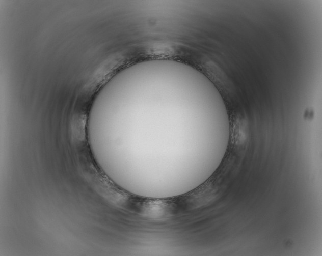 X0000111440717200907131305