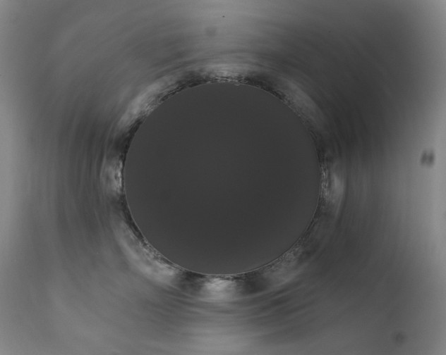 X0000111440718200907131305