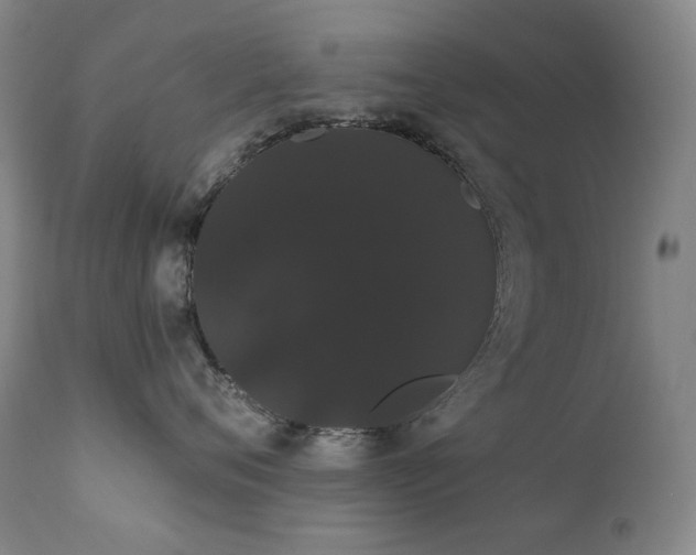X0000111440720200907131305