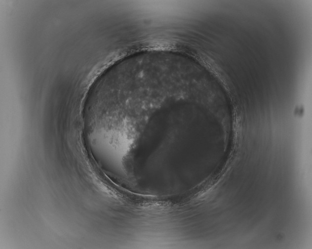 X0000111440721200907131304