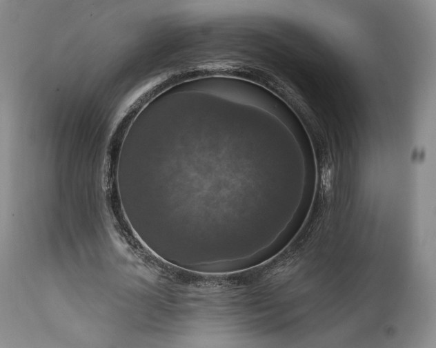 X0000111440724200907131304