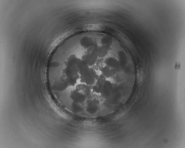 X0000111440725200907131304
