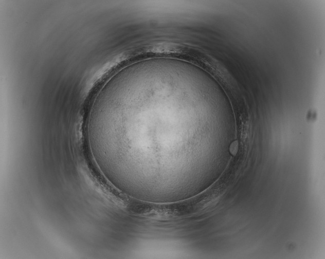 X0000111440727200907131304