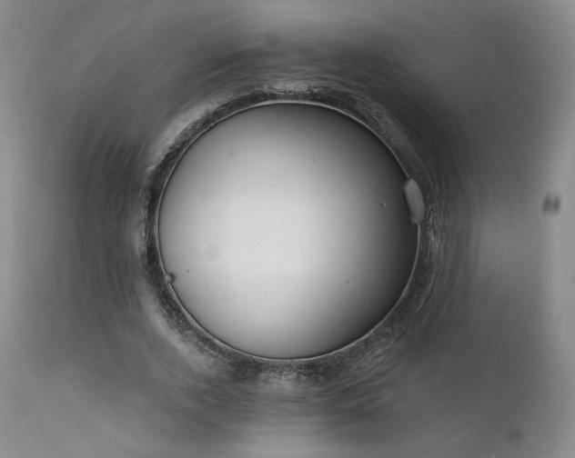 X0000111440728200907131304