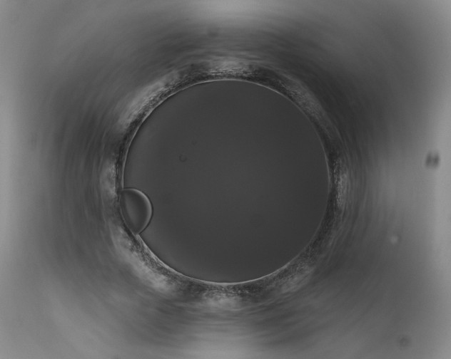 X0000111440729200907131304