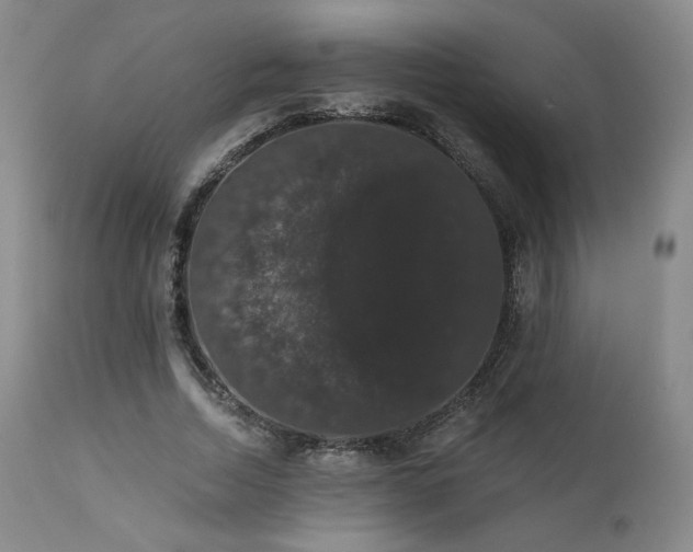 X0000111440730200907131304