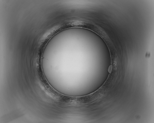 X0000111440732200907131304