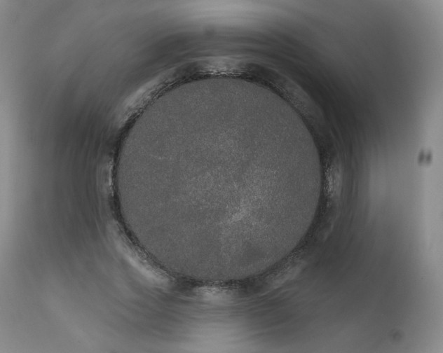 X0000111440733200907131304