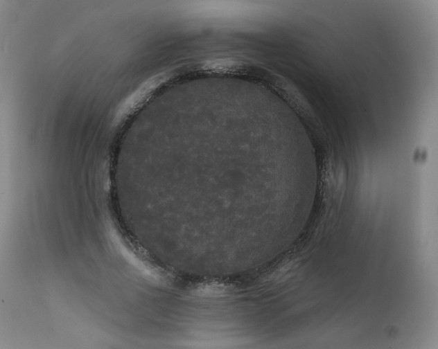 X0000111440734200907131305