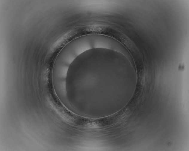 X0000111440735200907131305