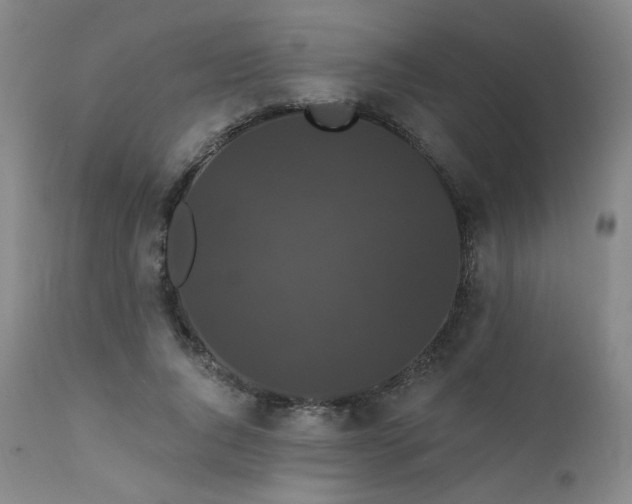 X0000111440736200907131305