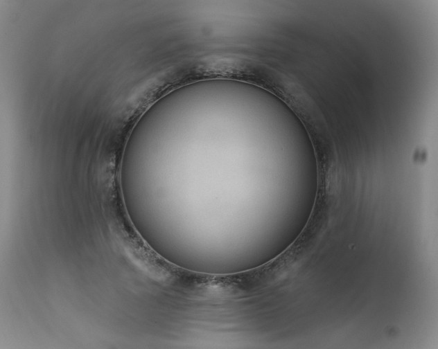 X0000111440737200907131305