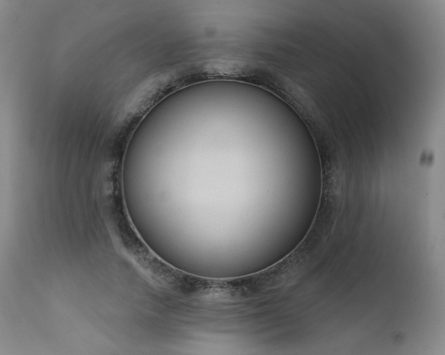 X0000111440738200907131305