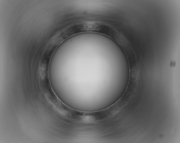 X0000111440741200907131305