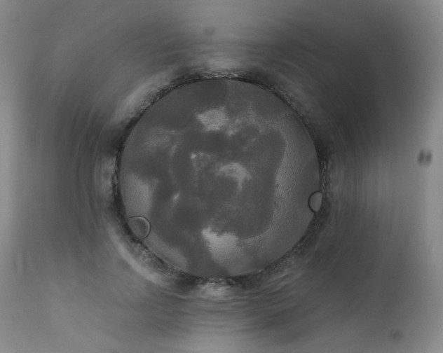 X0000111440742200907131305