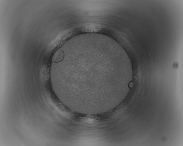 X0000111440743200907131305